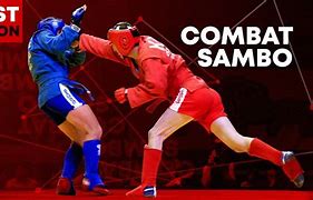 Image result for Sambo Martial Art Moves