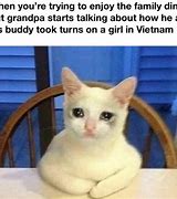 Image result for Sad Cat Meme Cursed