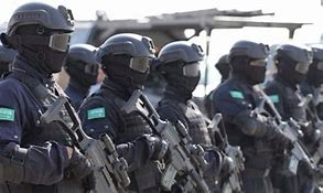 Image result for Saudi Arabia Military Forces