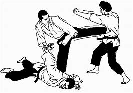 Image result for Hapkido Martial Arts