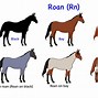 Image result for Paint Horse Patterns