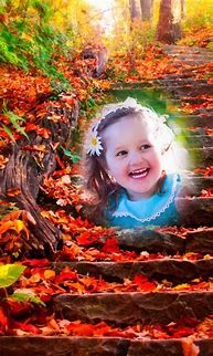 Image result for Free Fall Backgrounds Autumn