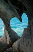 Image result for Heart Shaped Nature