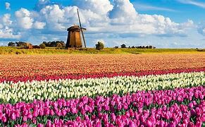 Image result for Amazing Places to Visit in Netherlands