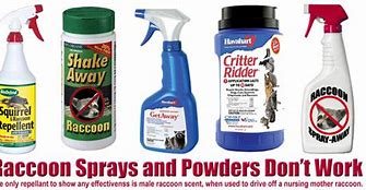 Image result for Raccoon Repellent
