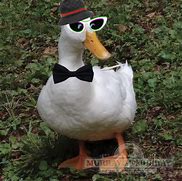 Image result for Duck PFP