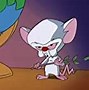 Image result for Pinky and the Brain Tomorrow Pinky