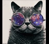 Image result for Cat with Sunglasses Galaxy