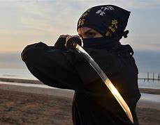 Image result for Invisible Ninja