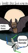 Image result for Funnt Bat Memes