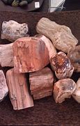 Image result for Petrified Wood Bowl