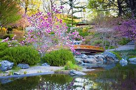 Image result for Japanese Garden Pics