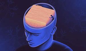 Image result for Human Brain Memory