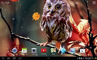 Image result for Cute Kindle Fire Wallpaper