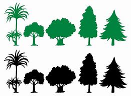 Image result for Tree Vector