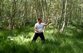 Image result for Wu Tai Chi 108 Left Hand Movement An