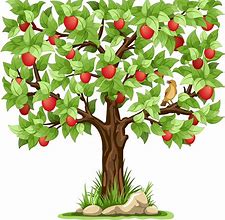 Apple Tree卡通 的图像结果