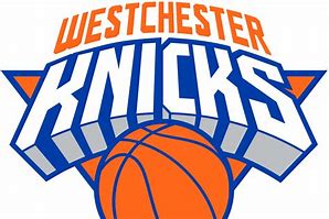 Image result for Knicks Logo