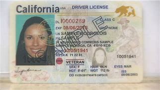 Image result for Real Government ID