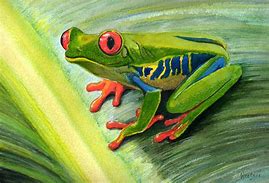 Image result for Tree Frog Painting