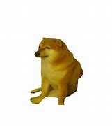 Image result for Cheems Doge Meme