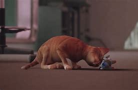 Image result for All the Cats in Stray Game