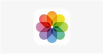 Image result for iPhone Photography of the Year