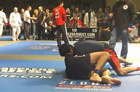 Image result for Grapplers Quest