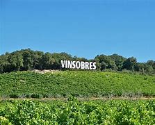 Image result for vinsobres