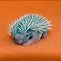 Image result for Baby Hedgehog Hoglet