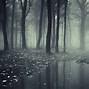 Image result for Deep Dark Forest Wallpaper