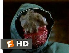 Image result for Great Outdoors Movie Bat Meme