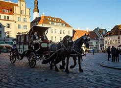 Image result for Two Horse Chariot