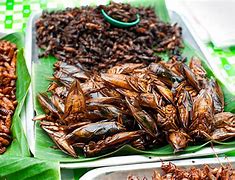 Image result for Khmer Deep Fried Crickets