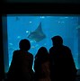 Image result for Osaka Aquarium Constructed By