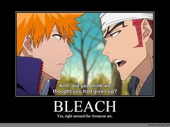 Image result for Kon Bleach Memes