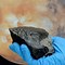 Image result for Meteorites From Mars