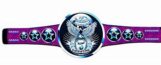 Image result for Pro Wrestling Championship Belts