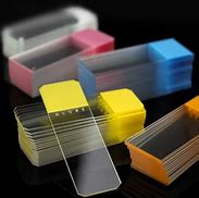 Image result for Science Glass Microscope Slide