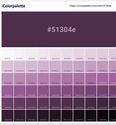 Image result for Shades of Plum Color