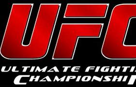 Image result for Ultimate Fighting Championship