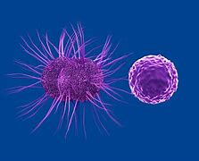 Image result for Male Chlamydia Swab