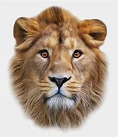 Image result for Lion Face SVG