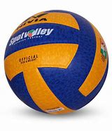Image result for Volleyball Shoes Nivia