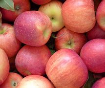 Image result for Cherry Gala Apple