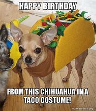 Image result for Happy Birthday Chihuahua Meme