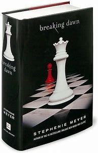Image result for Breaking Dawn Hardcover