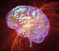 Image result for Brain Stress