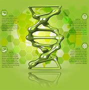 Image result for Droid DNA