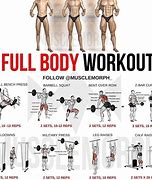 Image result for Full Body Exercises Gym